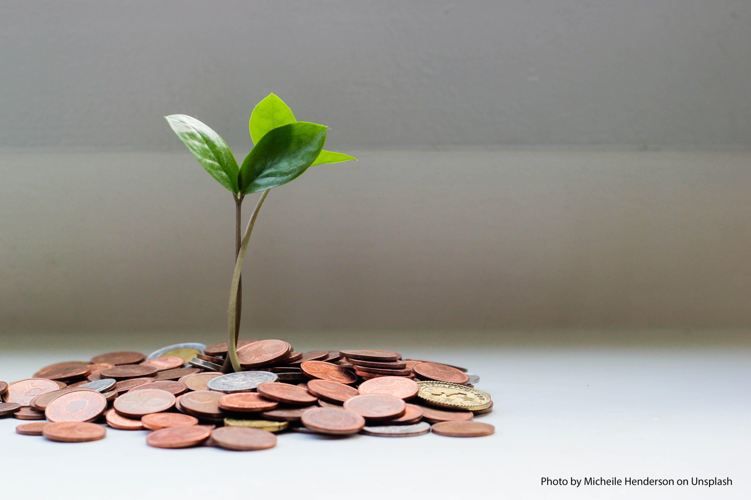 Show Me the Money: How to Fund Entrepreneurship Ecosystem Building Initiatives